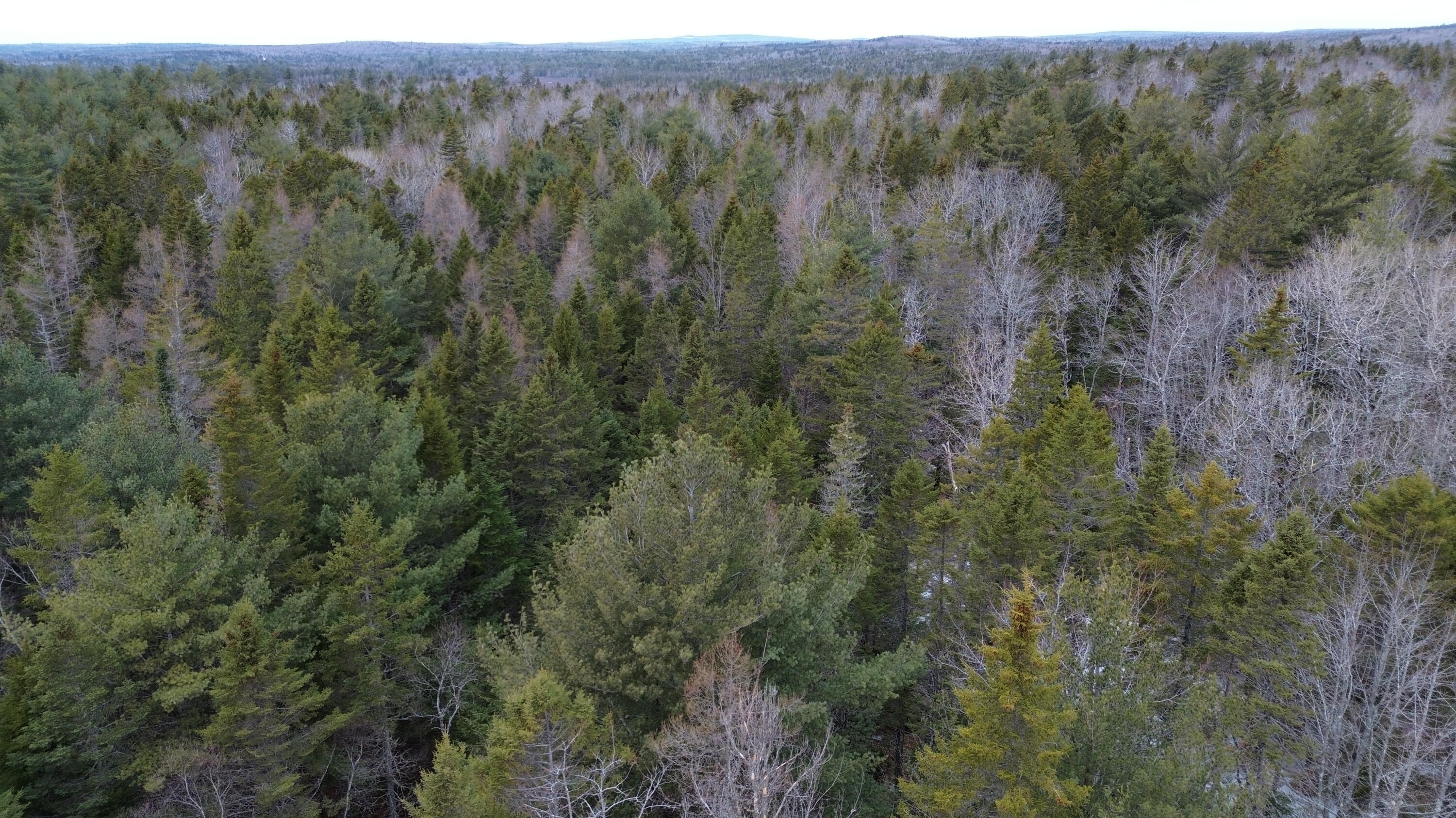 WA31P01L21 Kings Street, Dennysville, ME, 04628