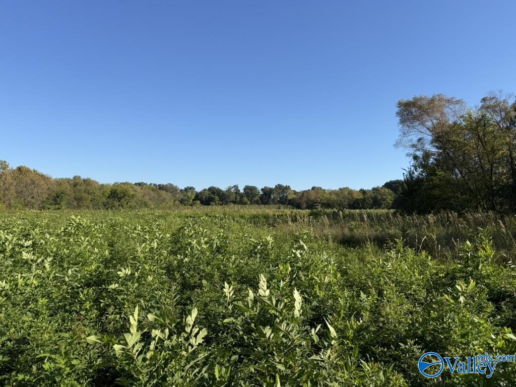 Morgan County Land 10 Acres or More