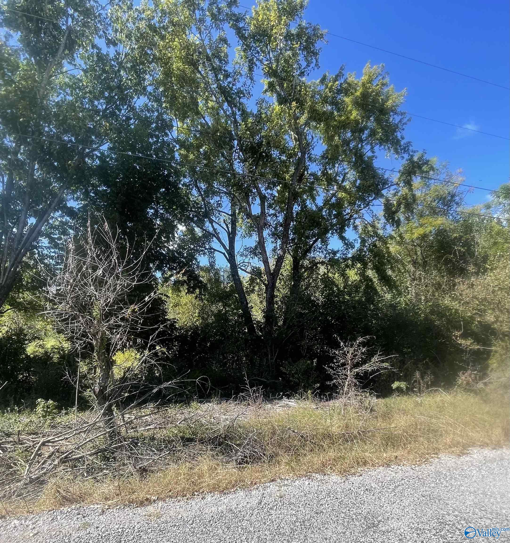 Lawrence County Land